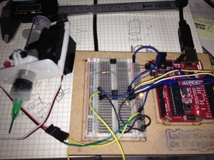 20130804-191357.jpg